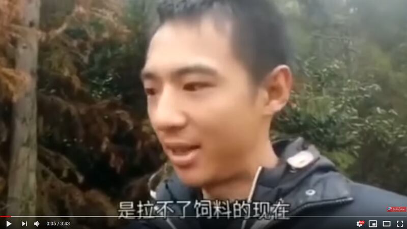 一位名叫“林林七”的网友日前在海外视频平台油管发布视频,讲述自己的小型养殖场在封城封路的情况下,遭遇灭顶之灾。(视频截图)